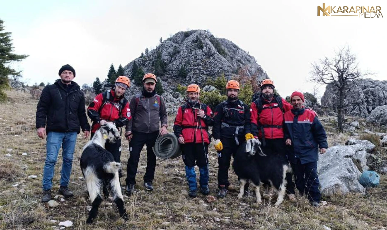 Sarp kayalıklarda keçi kurtarma operasyonu