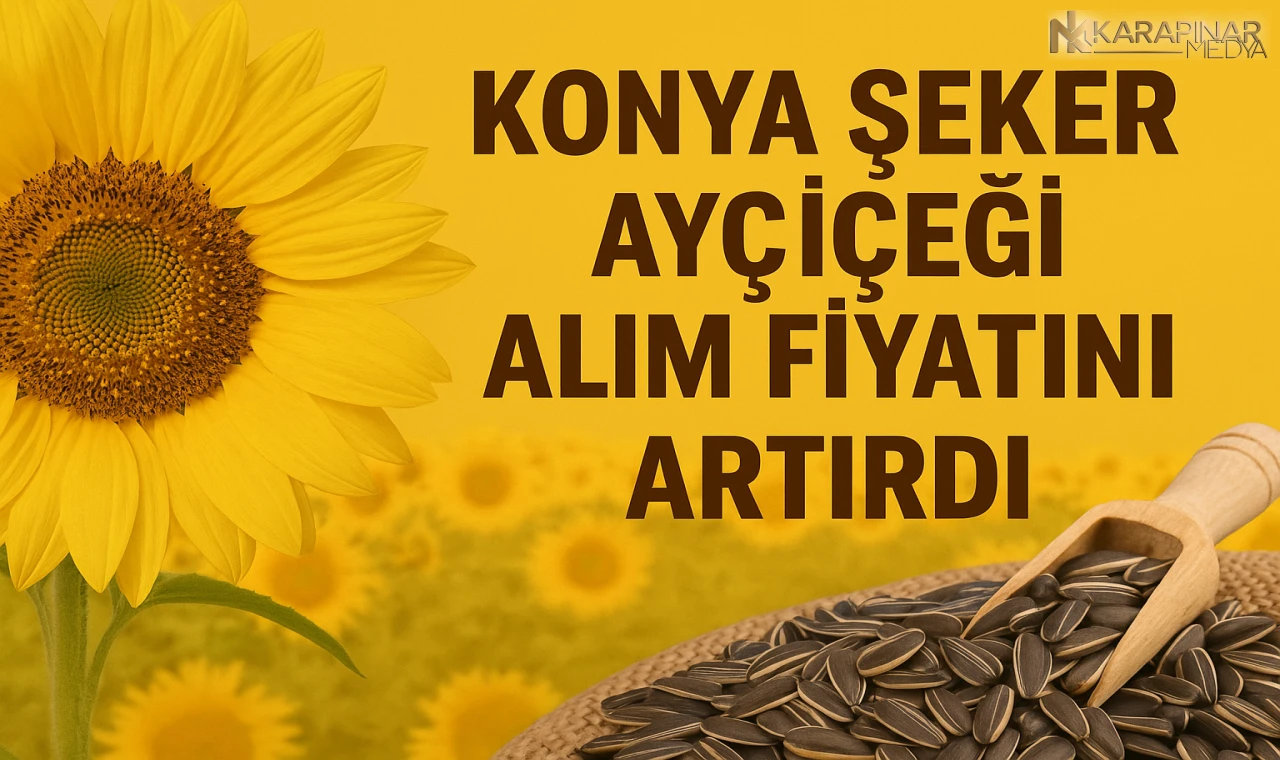 Konya Şeker Ayçiçeği Alım Fiyatını Artırdı