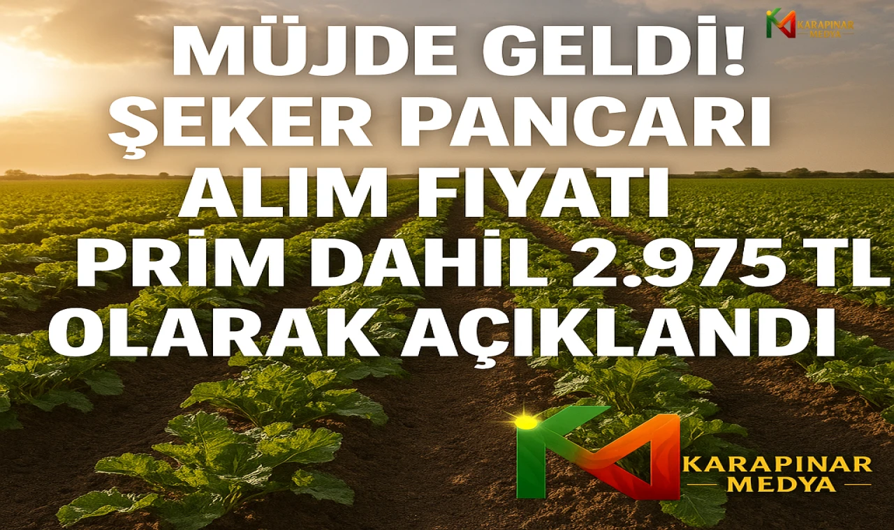 Müjde Geldi! Şeker Pancarı Alım Fiyatı Prim Dahil 2.975 TL Olarak Açıklandı!