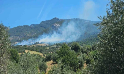 Adana’da orman yangını