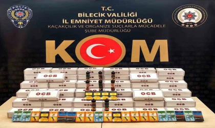 Bilecik’te kaçakçılara yönelik operasyonda 1 şüpheli yakalandı