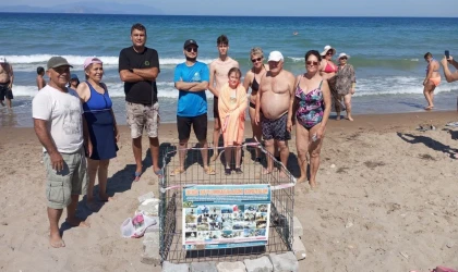 Caretta carettalar Kuşadası’nda 3 ayrı noktaya yumurta bıraktı