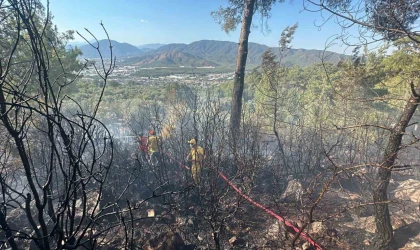 Fethiye’de zeytinlik alanda çıkan yangın kontrol altına alındı