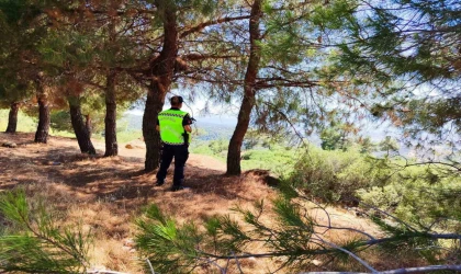 Jandarma ekipleri yasak bölgeye giren şahıslara cezai işlem uyguladı