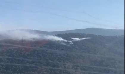 Muğla’da yıldırım kaynaklı yangınlar söndürüldü
