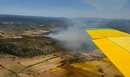 Muğla’nın Menteşe İlçesinde orman yangını