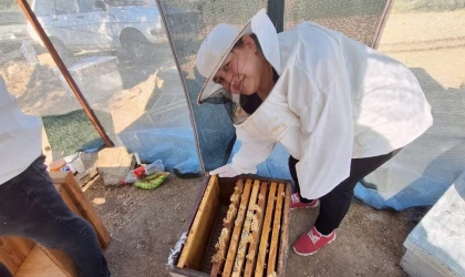 Söke’de Arıcılık Kursu’nda bal sağımı eğitim verildi