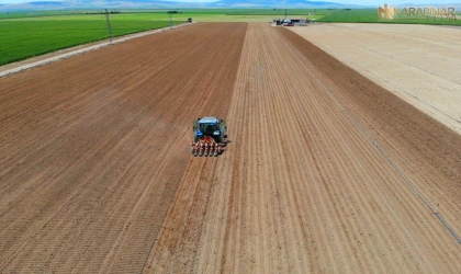 Uzmanlardan uyarı; Hububat ekiminde 'tasarruf edelim' derken zarara uğramayın