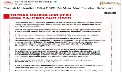 TMO 2025 yılı mısır alım fiyatı belli oldu