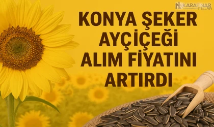 Konya Şeker Ayçiçeği Alım Fiyatını Artırdı