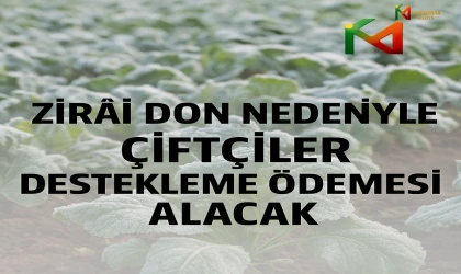 Zirai Don Mağduru Çiftçilere Destekleme Ödemesi Başlıyor