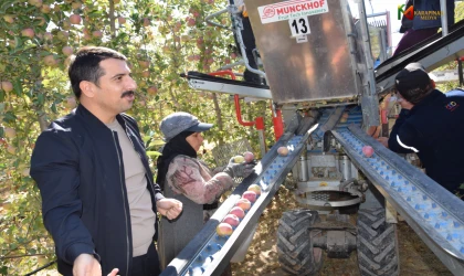 Karapınar Elma Üretiminde Bölgenin Yeni Üssü Olma Yolunda