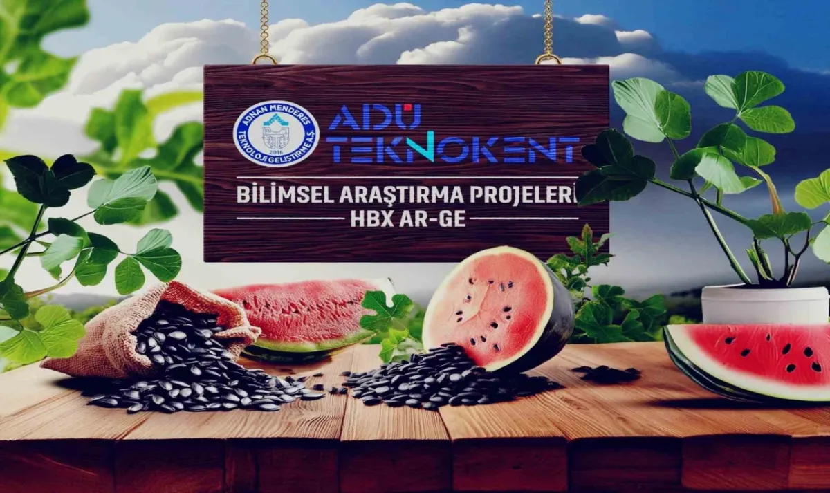 Haber Resmi
